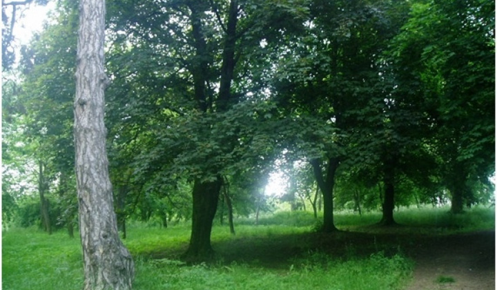 Zobraziť fotografiu